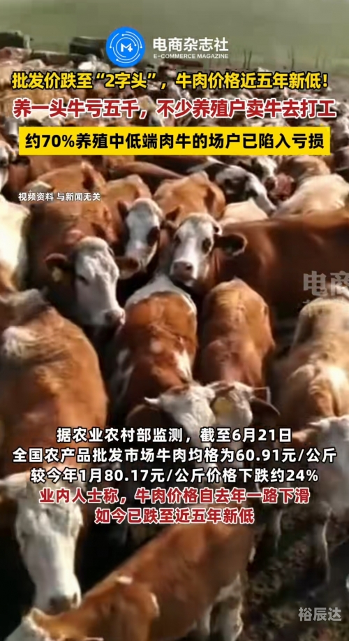 苹果反垄断案败诉，市场规则的挑战与反思-第2张图片