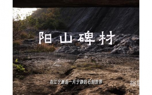 大红心水论坛，探索心灵交流的圣地-第1张图片