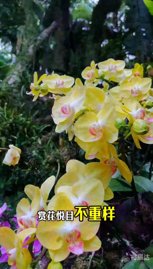 海南最宜居城市排名琼海房价海南最宜居城市排名-第2张图片