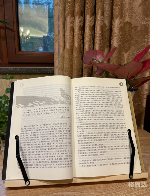 广西的狼精英论坛广西狼精英论坛，探索狼性精神的卓越之地