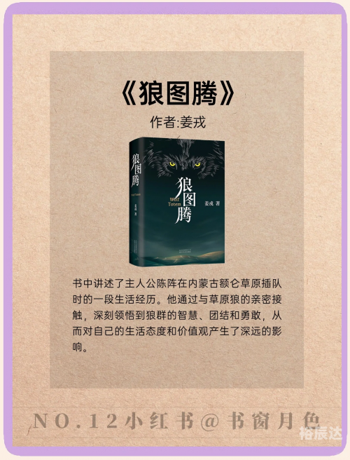 广西的狼精英论坛广西狼精英论坛，探索狼性精神的卓越之地-第3张图片