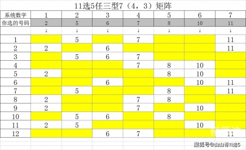 选5开奖结果号码揭秘11选5开奖结果，神秘数字背后的惊喜