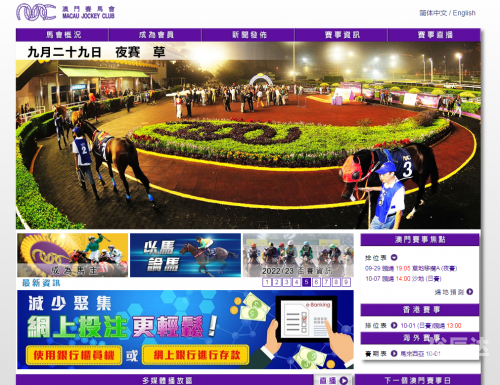 正版马会免费资料大全专业版