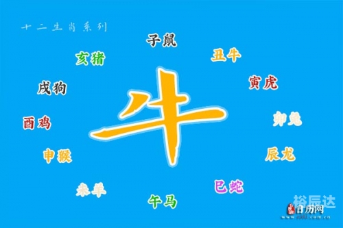 一牛网，网络牛人的聚集地-第2张图片