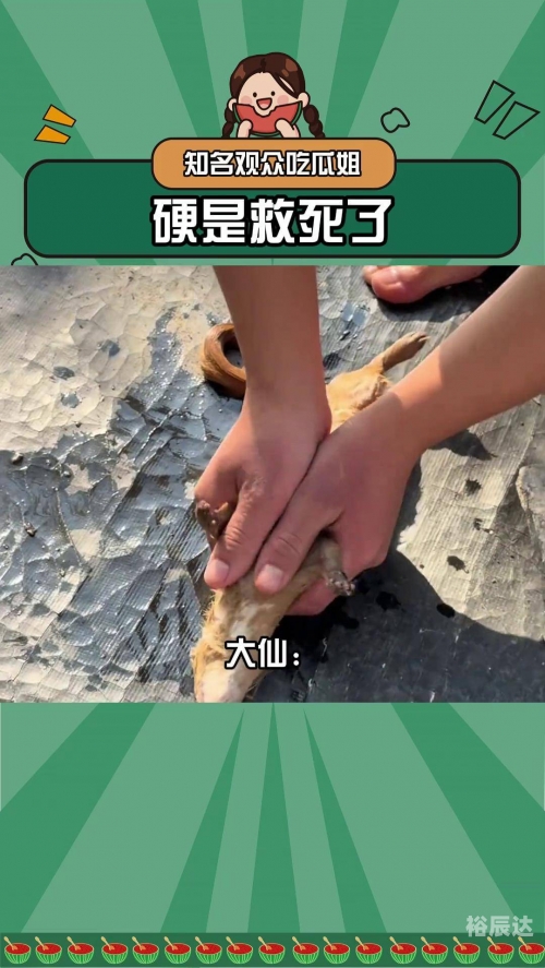 黄大仙救世报图片AB彩图黄大仙救世报图，信仰与救赎的象征
