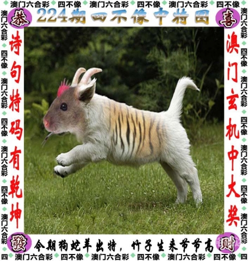 2020年香港免费资料大全2020年香港免费资料大全-第1张图片