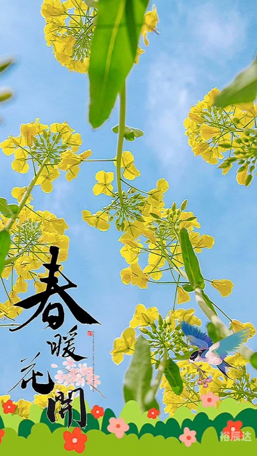 晨星online，探索在线新纪元