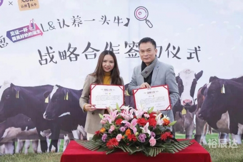 王中王一码一肖一特一中的探索之旅