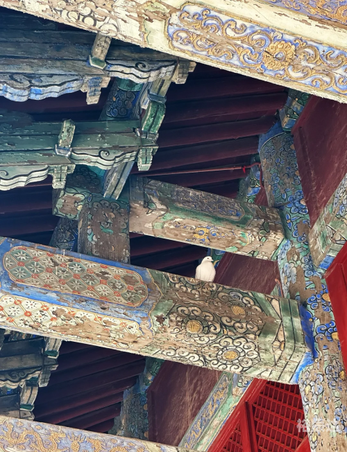 大兴隆寺，千年古刹的神秘魅力