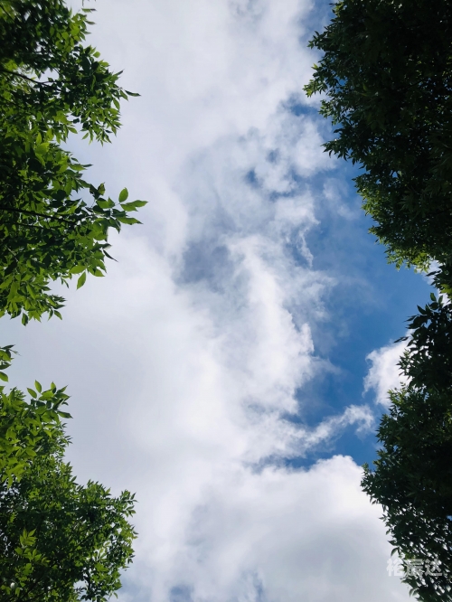 天空手机软件下载天空手机软件下载，探索便捷的移动生活