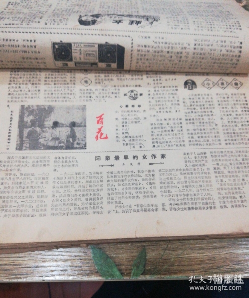 香港今晚六给彩开奖结果八十九期2024香港今晚六给彩八十九期开奖结果揭晓-第2张图片