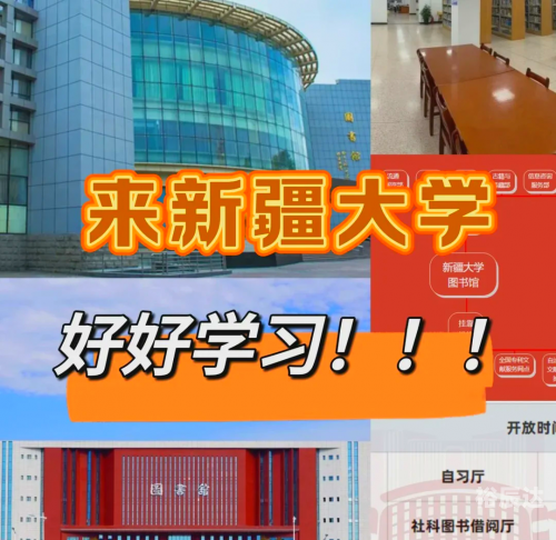 高手论坛免费坛高手论坛，探索技术与交流的殿堂