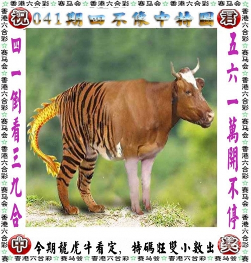 2024香港特马今晚开奖2024香港特马今晚开奖揭秘
