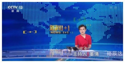 董倩简历-第3张图片