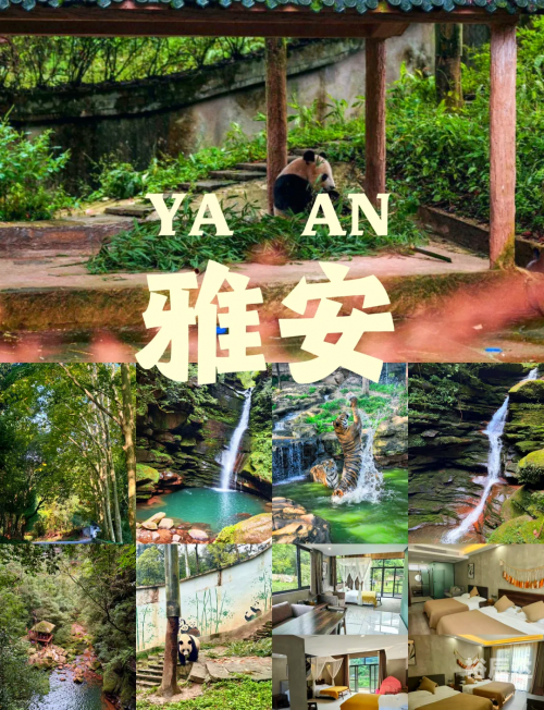 碧峰峡住宿碧峰峡住宿体验-第1张图片