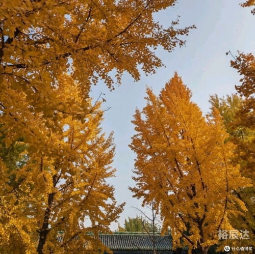 三里屯视频，繁华都市的魅力展示