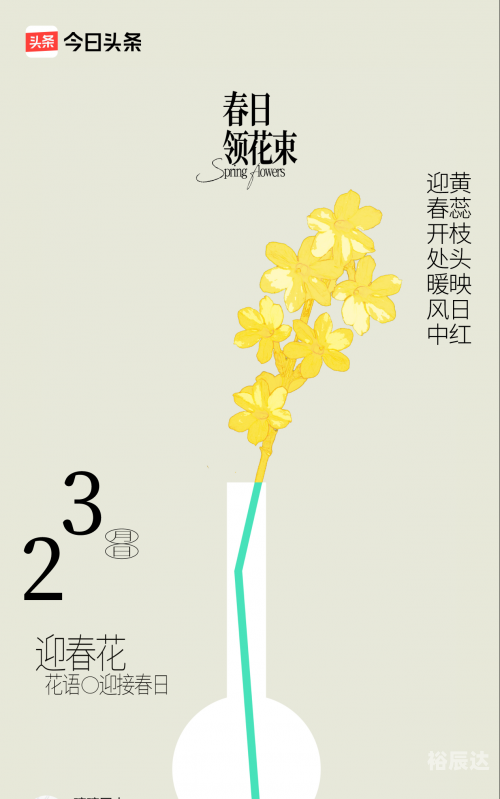 星运365幸运365，生活中的幸运时刻-第1张图片