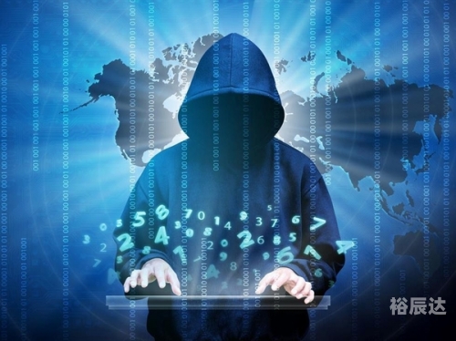 4238.com，数字时代的网络新天地-第2张图片