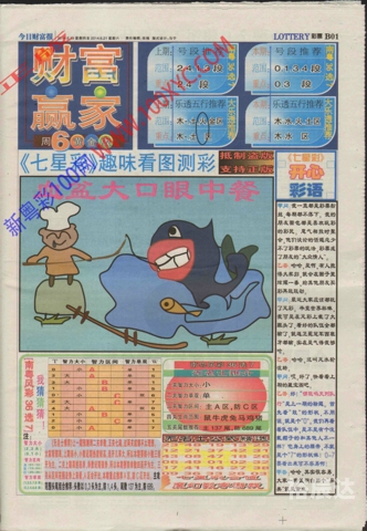 今天晚上开什么号