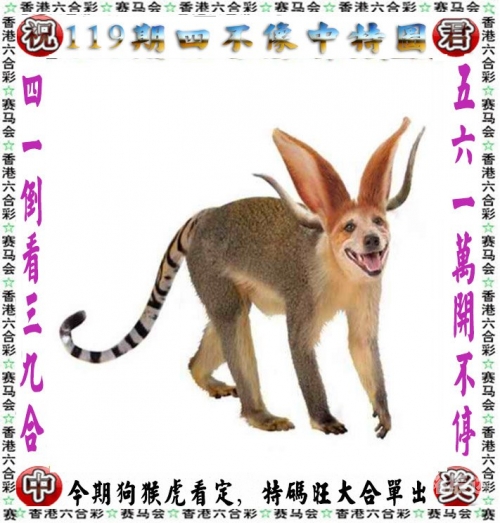二四六天空彩选好资料二四六天空彩选，好资料推荐-第1张图片