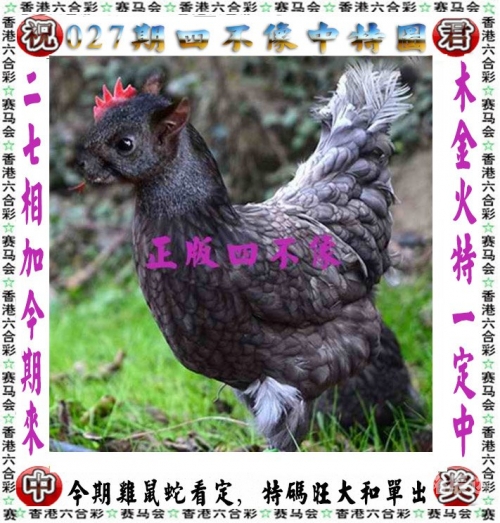 香港三期必出一期资料概述