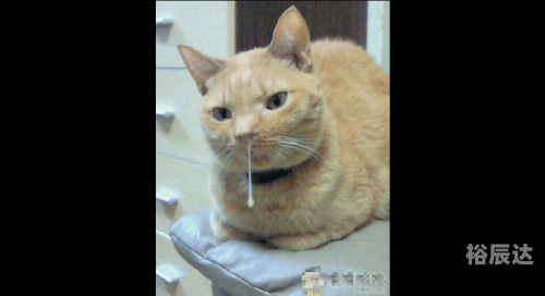 喷嚏测吉凶911喷嚏测吉凶-第2张图片