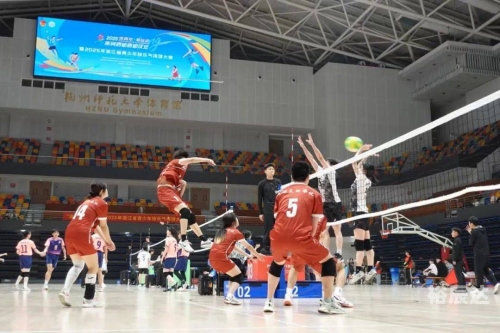 浙江快乐12一定牛浙江快乐12一定牛