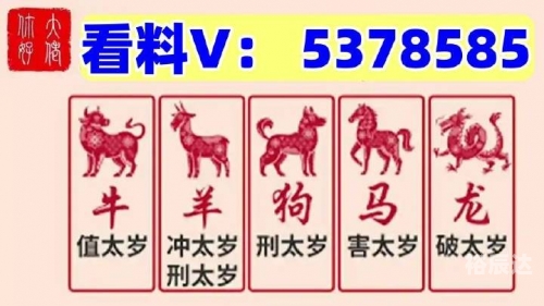 澳门特马今晚开码，展望新的一年