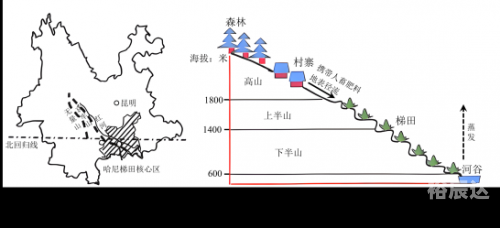 河北十一选五走势图分析