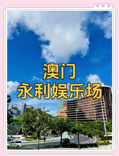 2025年正版资料免费大全2023澳门全资料免费看，探索澳门魅力与文化-第2张图片