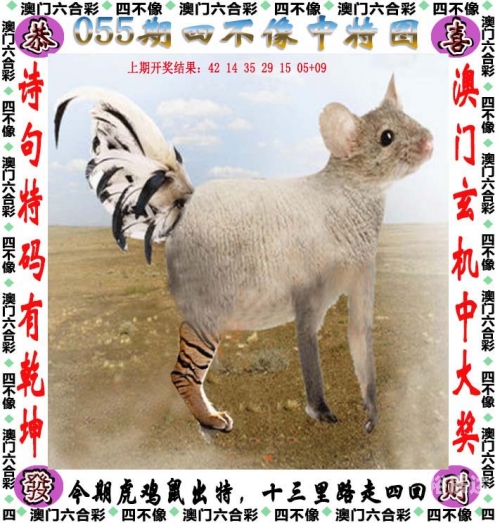 香港幵奖现场直播结果揭晓-第1张图片