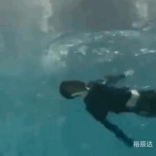 香港聊天室香港聊天室，畅聊古今中外