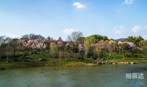 常德桃花源常德桃花源之旅