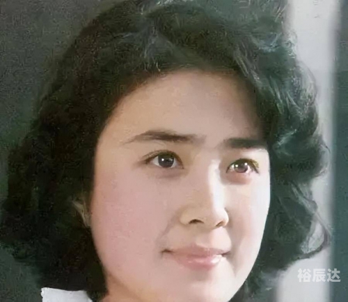 傅艺伟和金巧巧太像了傅艺伟与金巧巧，演艺界的璀璨明星-第1张图片