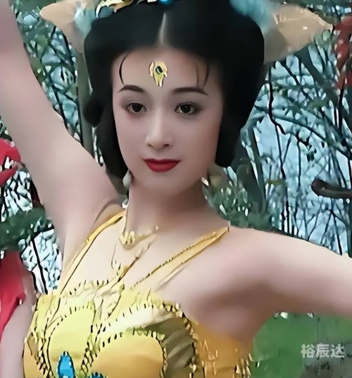 傅艺伟和金巧巧太像了傅艺伟与金巧巧，演艺界的璀璨明星-第3张图片