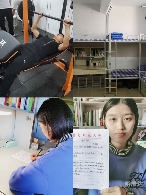 爱唯论坛，情感交流的温馨家园-第2张图片
