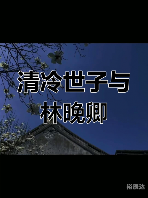 大理寺卿po林晚卿大理寺卿与林晚卿，一段传奇的交织