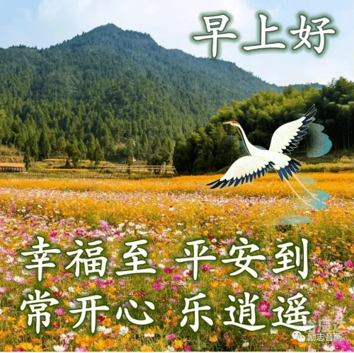 246天天好图片玄机每期文学资料天天好彩玄机图