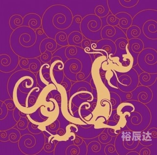 红姐统一彩色主图库，引领视觉潮流的新篇章-第2张图片