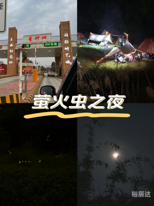 广州萤火虫，城市的夜之精灵-第1张图片
