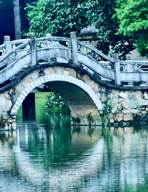 广州萤火虫，城市的夜之精灵-第2张图片
