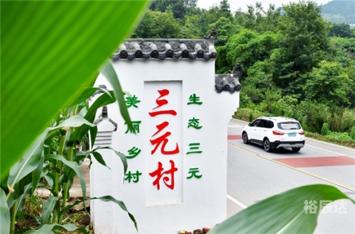 临武通天报，新闻热点与地方动态