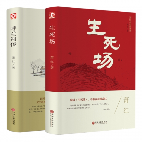 正版资料大全全年2019小说概述