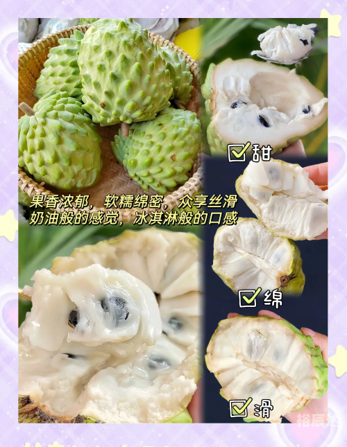 菠萝果的功效与营养菠萝果，热带水果的魅力-第2张图片