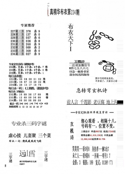 2024精华版布衣图全图解析-第2张图片