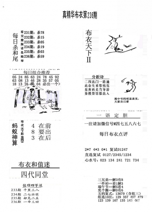 2024精华版布衣图全图解析-第1张图片