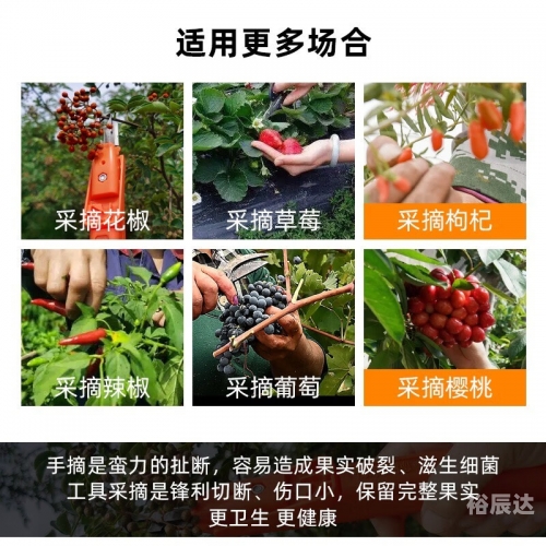 采摘网采摘网，高效便捷的农业工具-第1张图片