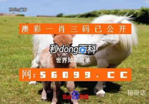 最准一码一肖100%精准老钱庄最准一码一肖，老钱庄精准预测的神秘力量-第1张图片