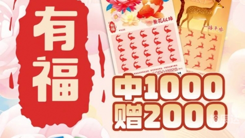 中国福利彩票官网中彩网查询结果中国福利彩票官网，福利彩票的权威平台