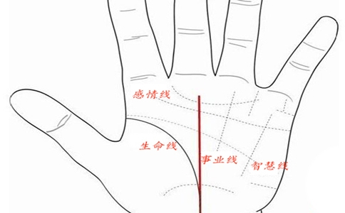 手相没有事业线手相没有事业线解析